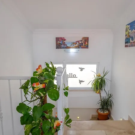 Apartament 3 Bedroom - Seaview And Private Pool *